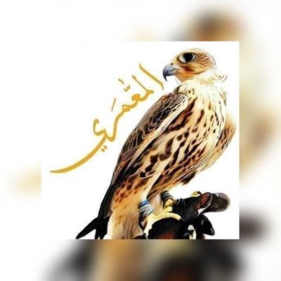 almamri2025's profile picture. 