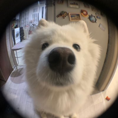 da_ch41's profile picture. 