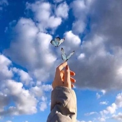 أكتب بالعربية بشغف،أترجم الإنجليزية ببراعة حاصلة على بكالوريوس آداب عربي وبكالوريوس ترجمة إنجليزية ودبلوم عالٍ في التأهيل التربوي أؤمن أن المعرفة جسر نحو العالم