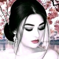 نونه الشمريه (@nyn1281587) 's Twitter Profile Photo نونه الشمريه (@nyn1281587) 's Twitter Profile Photo