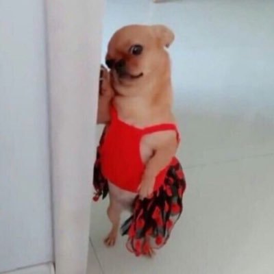 กะปิ๊บบ ｡･-･さんのプロフィール画像