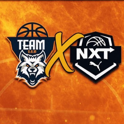 1teamoam's profile picture. Team On A Mission @PRO16League @NXTprohoops