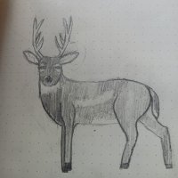 Daidลji ๐ต๐ธ๐ชถ (@daidojisbiceps) 's Twitter Profile Photo Daidลji ๐ต๐ธ๐ชถ (@daidojisbiceps) 's Twitter Profile Photo