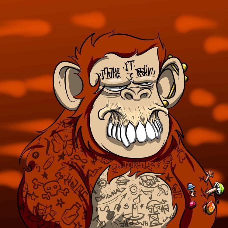 ailie_4__vet's profile picture. 