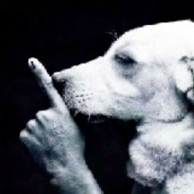 Ratata_tu_ma's profile picture. 