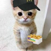 Truly (@trulyy23) 's Twitter Profile