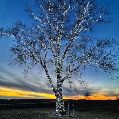 mnldfighter's profile picture. 