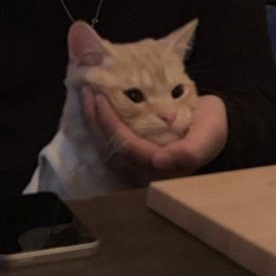 cricketnoises8's profile picture. things are happening