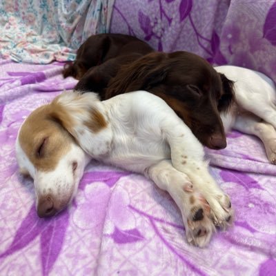 belle_mb_'s profile picture. 