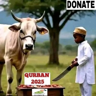C.E.O,founder of AHF working under activities suchas helping those affected by natural disasters, conflict and poverty,orphancare,Qurban,Ramadan and education