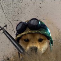 Sniper Trades (@snipersback) 's Twitter Profile