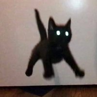 ㅇㅇㅇ (@m7u11a_ooe) 's Twitter Profile