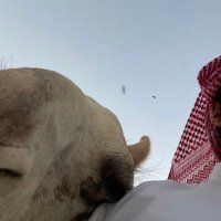 سعد (@7maua) 's Twitter Profile