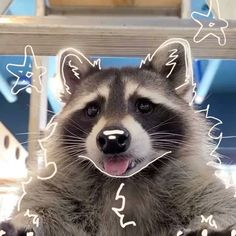 Sisiさんのプロフィール画像