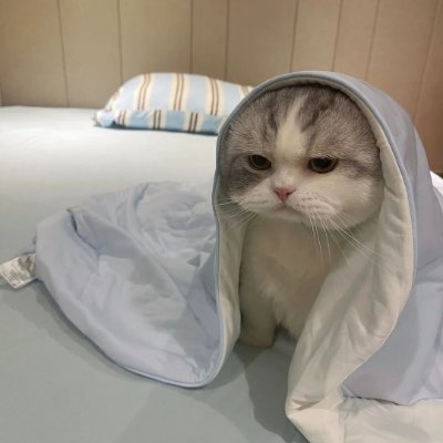 HeshIaw's profile picture. Humble Guy