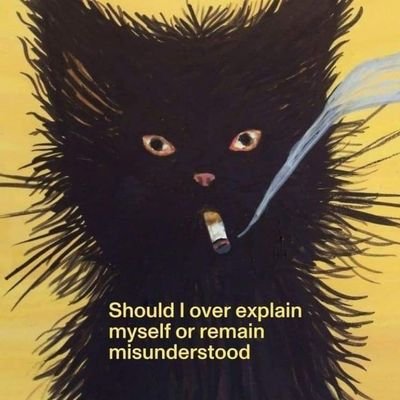 hiimmox's profile picture. I like JS