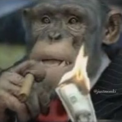 GhibliHitler's profile picture. 