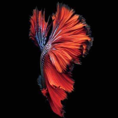 oU1YHmOOtK73698's profile picture. 