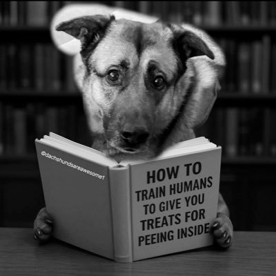 Tarynoutdoors's profile picture. Thoughts of a dog mom