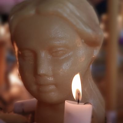 Eu assisto documentário sobre inseto e converso dormindo