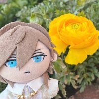 カヤ@取引垢 (@kaya_trhk) 's Twitter Profile Photo カヤ@取引垢 (@kaya_trhk) 's Twitter Profile Photo