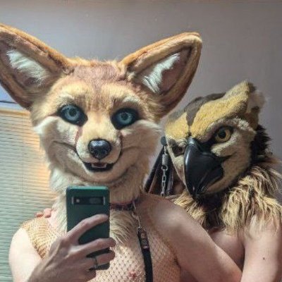 Fennec fox with a new AD! @SaflerFox_AD ❤️ @LaikaBird official hubby! ❤️ 📸 @seikoliz, new head by @sarahcatfursuit