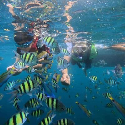 jelajahtidung1's profile picture. Kami Menyediakan Paket Wisata Pulau Tidung,Pari,Harapan.Pramuka
Info Hub Khaerial : 087885967511
Ig : @jelajahtidung
Website : https://t.co/0n4jKntiYQ