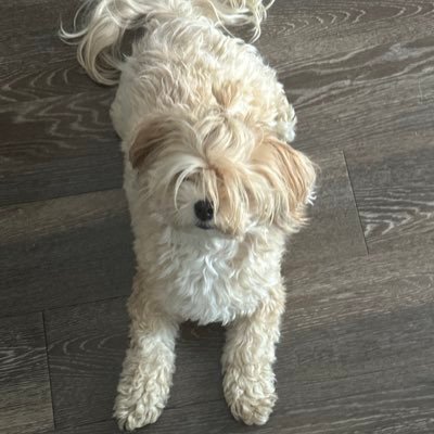 DjLate07's profile picture. #HonorBlackWomen - #ProtectBlackWomen - #ValueBlackWomen ✊🏾