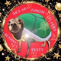 sub_M🐕🐢♬ (@sabu_mayupin) 's Twitter Profile Photo