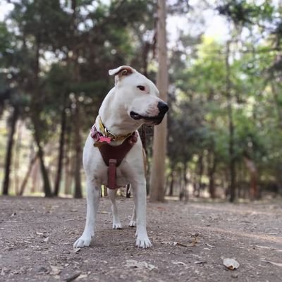 SoyVyka99's profile picture. 