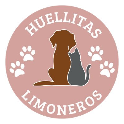 Adopta🫶🏼🐶🐱📍EDOMEX🇲🇽/ Para adoptar y/o donar en especie o monetario👉🏼https://t.co/f7J29qgKTo