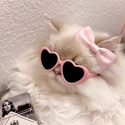 Haerincatty's profile picture. 𝓛𝓸𝓿𝓮 𝓜𝔂𝓼𝓮𝓵𝓯 💕
