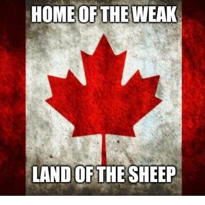 leaky766's profile picture. 