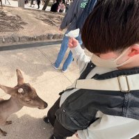 しゅ (@shuuuuer) 's Twitter Profile