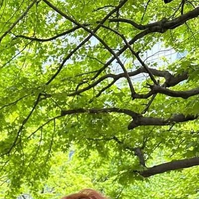 ny_100hyoon's profile picture. 