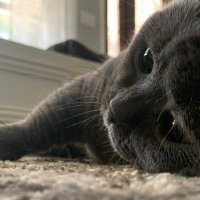 desires (@d8sires) 's Twitter Profile