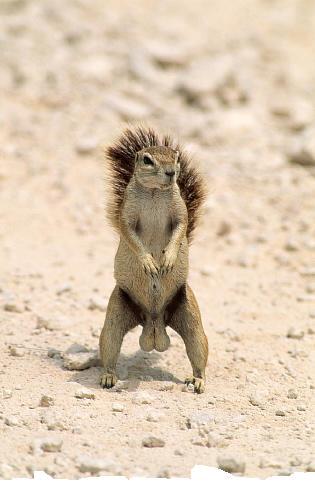 FuzzzNutz's profile picture. The profile pic says its all. Big, bold, furry and letting it all hang out!