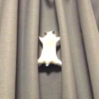 지구 (@zigu_is_) 's Twitter Profile