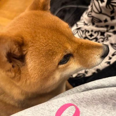 ゲーム実況見るのが日課。FPSできる様になりたい…が、気付けば操作してるのはRPG系に… おすすめあれば教えて欲しい/PS5オンリー