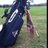 chanstormgolf's profile image