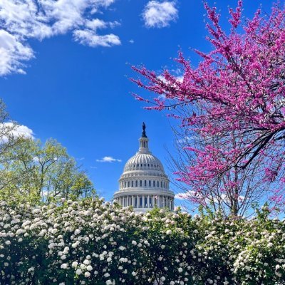 Coco8589's profile picture. Righteous Americans. Believes in truth and common sense! MAGA Patriots. We need President Trump now more than ever!