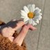 ▬كؤبؤن▬كود▬خصم▬💅🤝 (@ahhunbshy438) Twitter profile photo ▬كؤبؤن▬كود▬خصم▬💅🤝 (@ahhunbshy438) Twitter profile photo