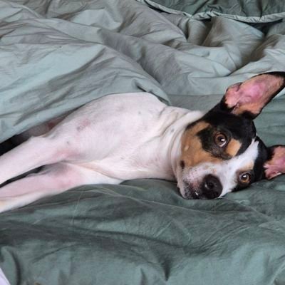 sanvalsue's profile picture. 