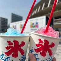 ぴぃーす⛄️❄️ (@pime_sno) 's Twitter Profile Photo ぴぃーす⛄️❄️ (@pime_sno) 's Twitter Profile Photo