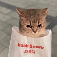 이프 (@if__likeit) 's Twitter Profile
