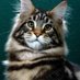 Sa (@sa8855408785672) Twitter profile photo Sa (@sa8855408785672) Twitter profile photo