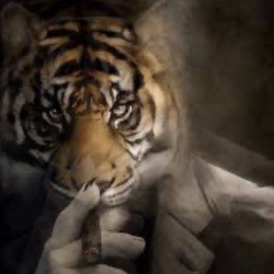 Ibrokethewheel2's profile picture. I will not be held legally liable for the opinions I held on this platform