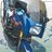 Gans134561S