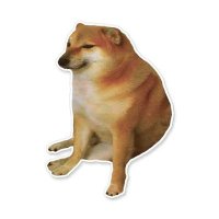 HEHE (@628472005x) 's Twitter Profile