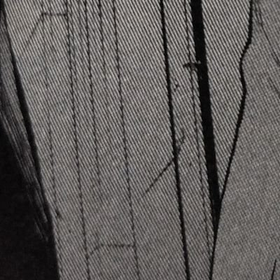 ささんのプロフィール画像